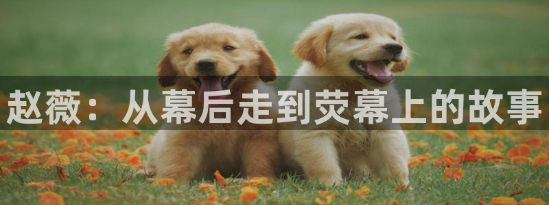 5177浮力影院入口