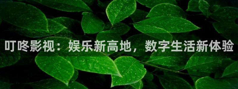 草草国产浮力影院：叮咚影视：娱乐新高地，数字生活新体验