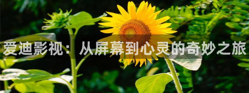 浮浮力影院