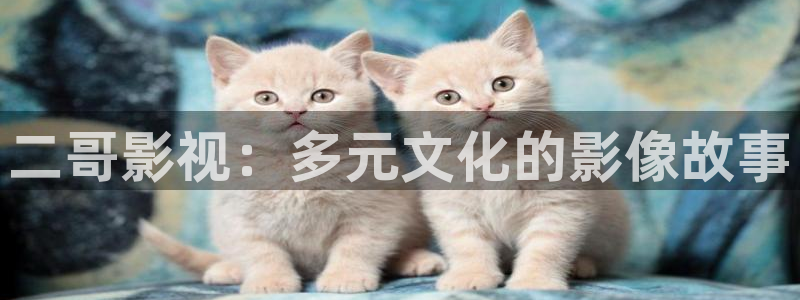 浮力影院ccyy